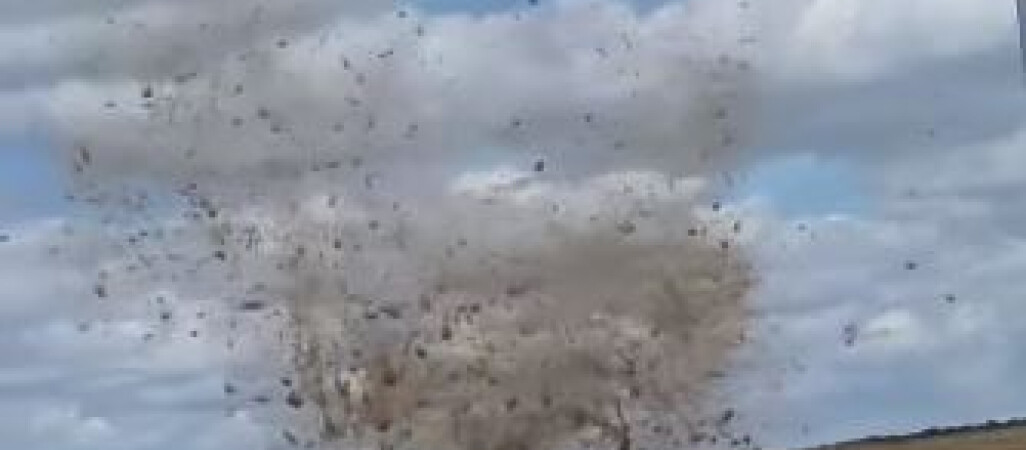 Diabełek pyłowy w okolicach Złotowa