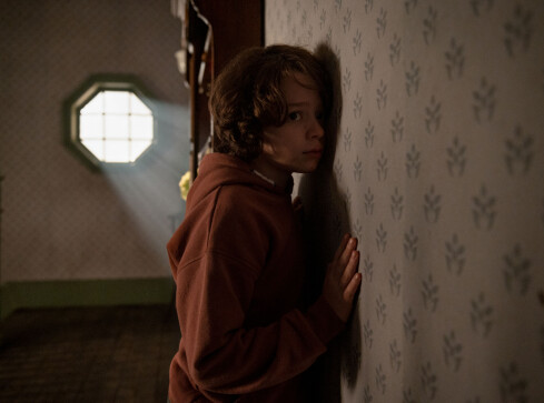 Filmowe lato w kinach Helios - grafika