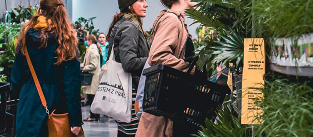 Festiwal Roślin w Pile