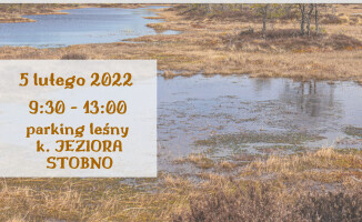 Dziś Dzień Mokradeł. Przyrodnicy zapraszają na wyprawę 