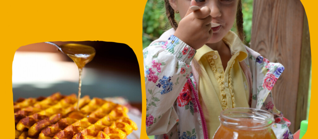 Wielki Dzień Pszczół w Zagrodzie Krajeńskiej