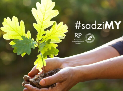 Piąta edycja akcji #sadziMY lasy  - grafika