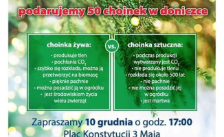 Zamień sztuczną choinkę na żywą 