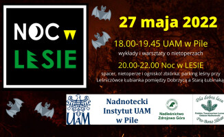 Noc w lesie. Wyprawa do rezerwatu nietoperzy 