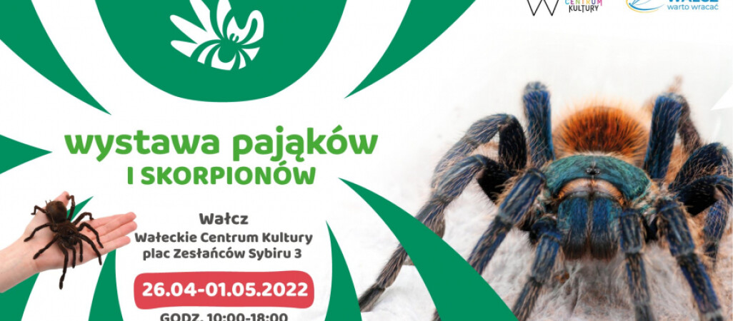 Wystawa pająków i skorpionów w Wałczu