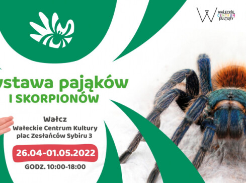 Wystawa pająków i skorpionów w Wałczu - grafika