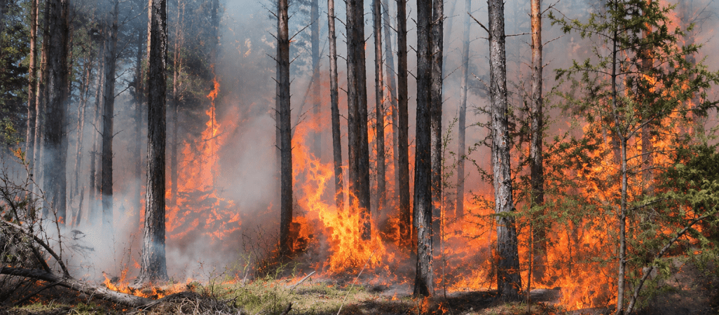 Tak źle nie było od dawna