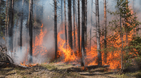 Tak źle nie było od dawna - grafika