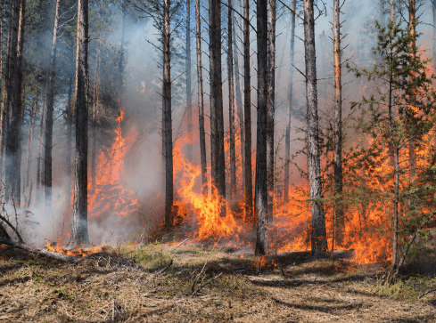 Tak źle nie było od dawna - grafika