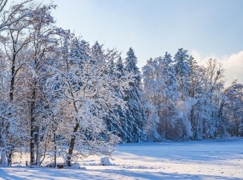 Uwaga na silny mróz! - grafika