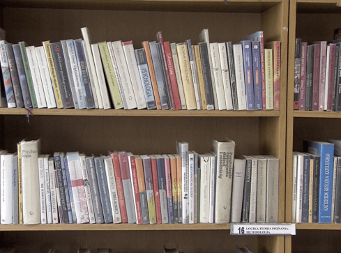 Na ile znamy ojczysty język? - grafika