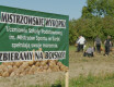 Mistrzowskie wykopki - uczniowie zbierają na boisko - grafika