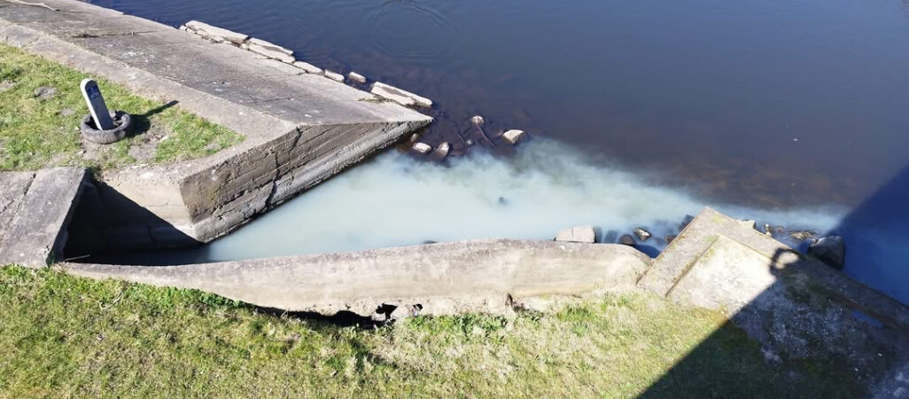 Ktoś zatruwa Gwdę?