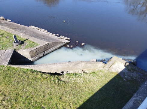 Ktoś zatruwa Gwdę? - grafika