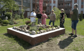 Posadzili drzewa. Zadbali sami o swój ogródek