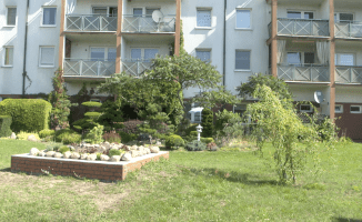 Posadzili drzewa. Zadbali sami o swój ogródek