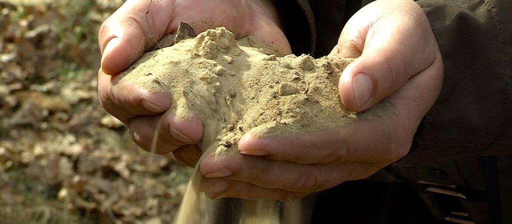 Mamy suszę w całej Wielkopolsce