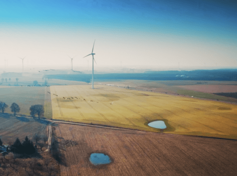 Napędzani wiatrem. Czy mamy alternatywę? - grafika