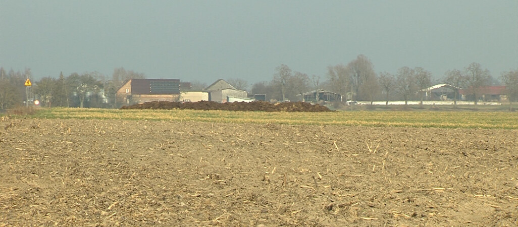 Negatywna decyzja w sprawie chlewni i biogazowni w Mirosławiu Ujskim
