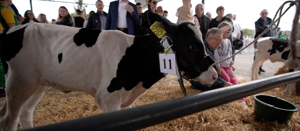 Rolnicze targi przyciągnęły tłumy
