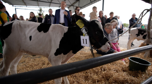 Rolnicze targi przyciągnęły tłumy - grafika