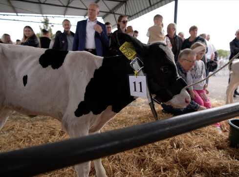 Rolnicze targi przyciągnęły tłumy - grafika