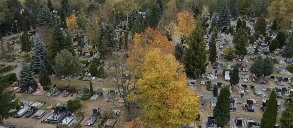 Komunikacja w Pile na Wszystkich Świętych