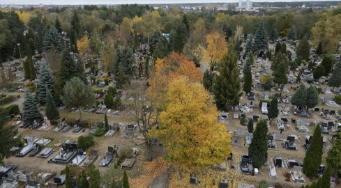 Komunikacja w Pile na Wszystkich Świętych - grafika