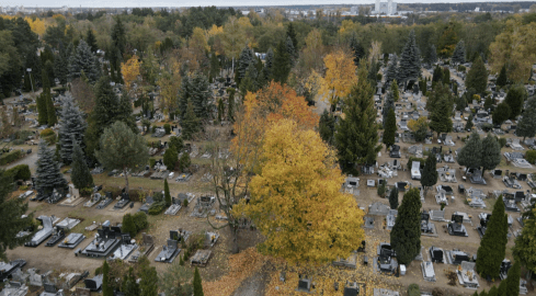 Komunikacja w Pile na Wszystkich Świętych - grafika