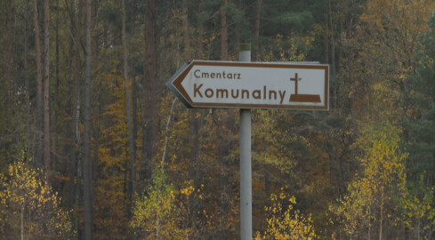 Komunikacja na cmentarze w regionie - grafika