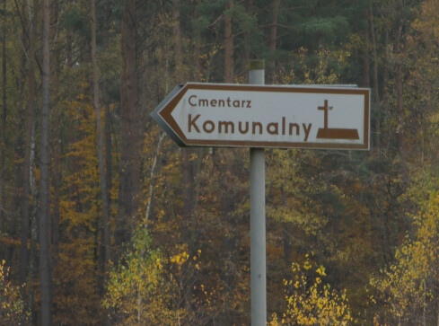 Komunikacja na cmentarze w regionie - grafika