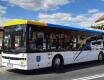 Więcej autobusów na Wszystkich Świętych - grafika