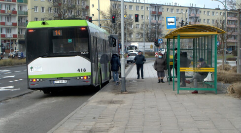 Nowe przystanki autobusowe w Pile - grafika