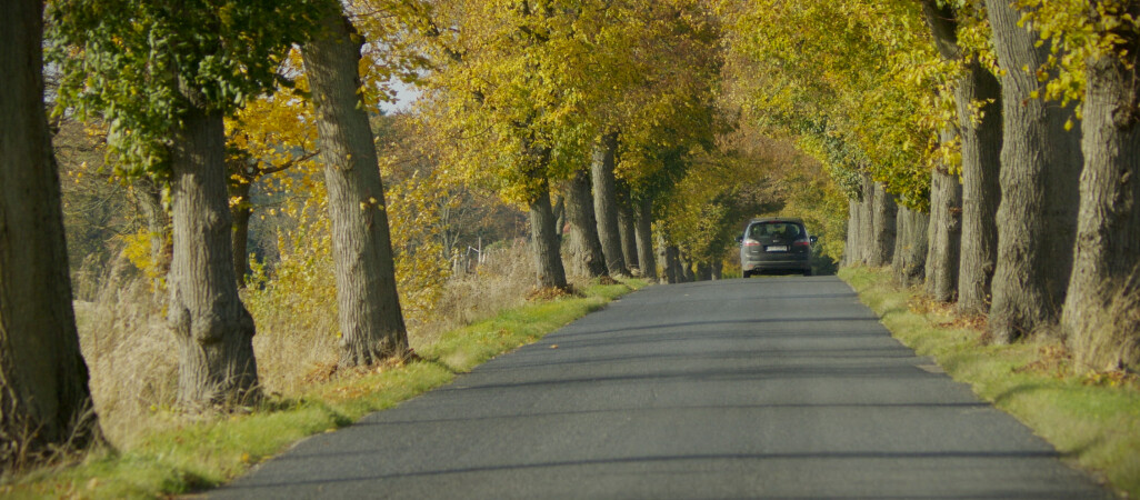 Niebezpieczny odcinek drogi. Będzie remont