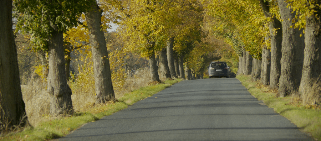 Niebezpieczny odcinek drogi. Będzie remont