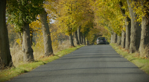 Niebezpieczny odcinek drogi. Będzie remont - grafika