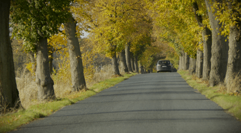 Niebezpieczny odcinek drogi. Będzie remont - grafika