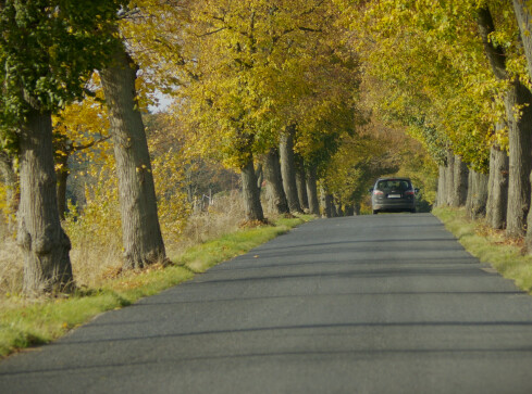 Niebezpieczny odcinek drogi. Będzie remont - grafika