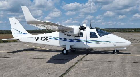 Piła skanowana z powietrza - grafika