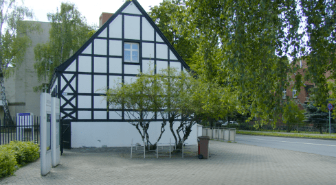 Kino plenerowe i koncerty jazzowe w ogrodach pilskiej Staszicówki - grafika