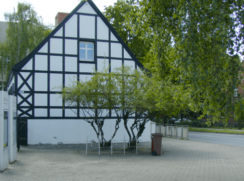 Kino plenerowe i koncerty jazzowe w ogrodach pilskiej Staszicówki - grafika