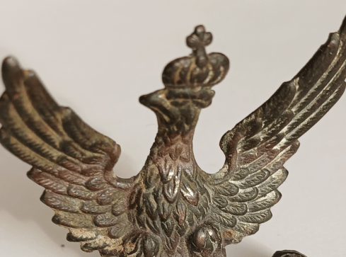 Bezcenny orzełek trafił do muzeum - grafika