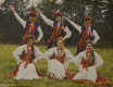 Zespół ma już 50 lat - grafika