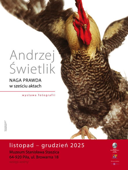 Wystawa Andrzeja Świetlika - grafika