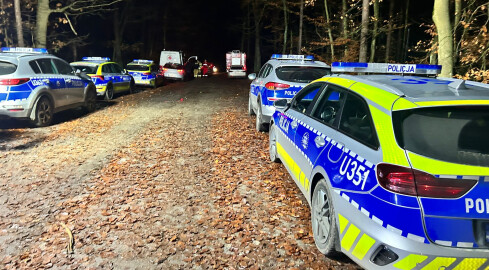 Odnaleziono ciało zaginionego grzybiarza - grafika