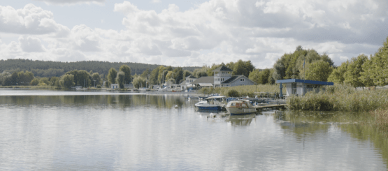 Przejdź do artykułu na Asta24.