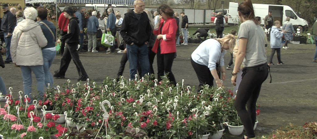 Agrotargi w Czarnkowie za nami