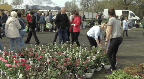 Agrotargi w Czarnkowie za nami - grafika