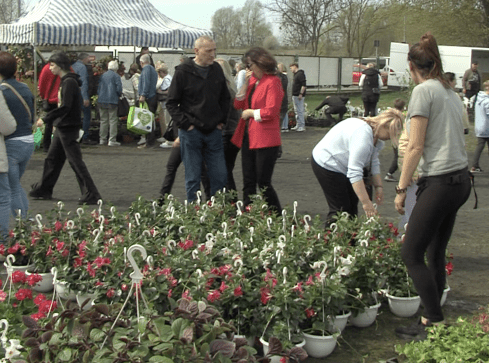 Agrotargi w Czarnkowie za nami - grafika