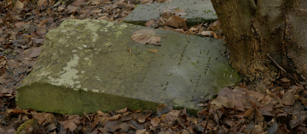 Czarnkowskie macewy policzone